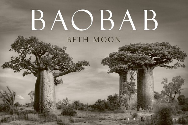 Baobab by Beth Moon, Hardcover | Indigo Chapters