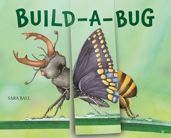 Build-a-bug by Sara Ball, Board Book | Indigo Chapters