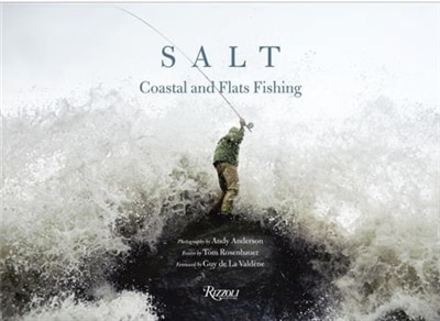 Salt by Andy Anderson, Hardcover | Indigo Chapters