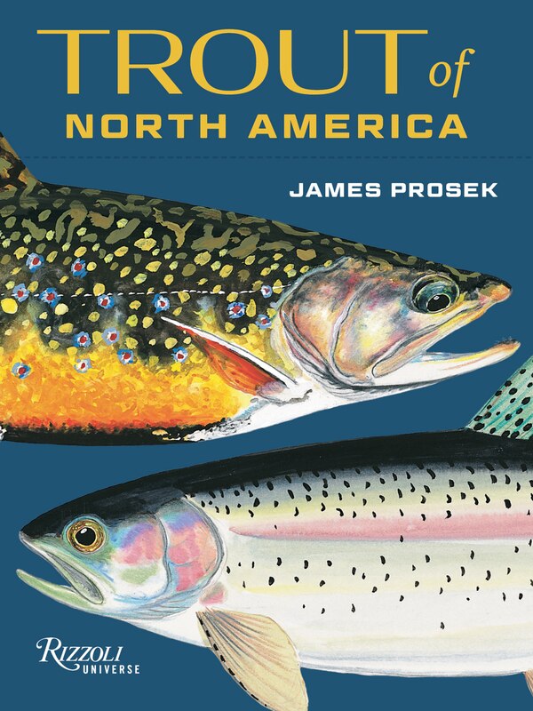 Trout of North America Card Deck by James Prosek, Paperback | Indigo Chapters