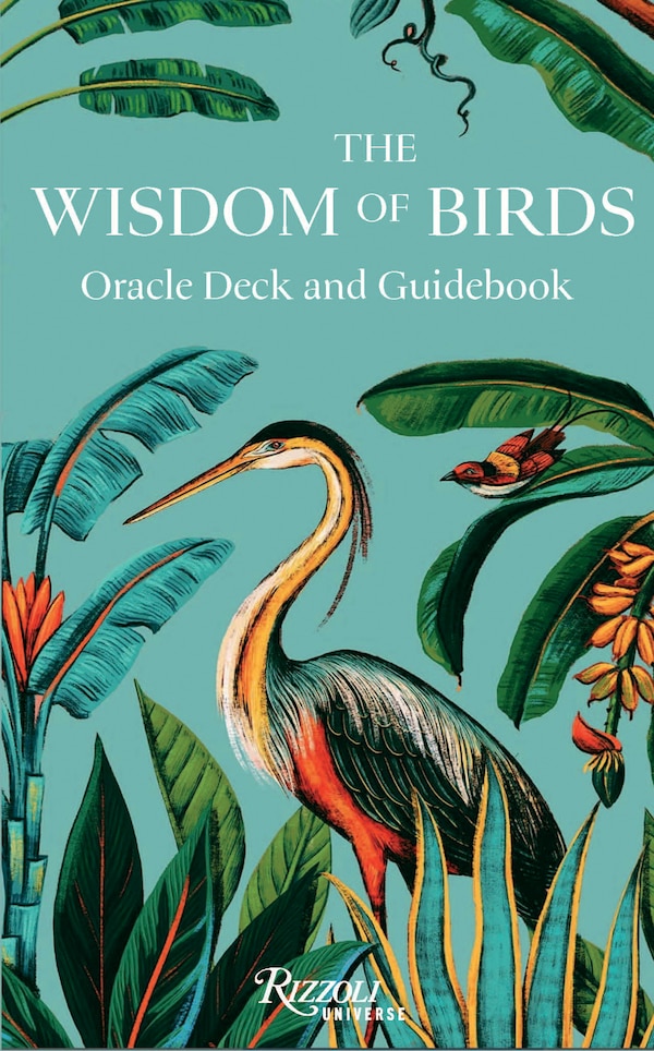 Wisdom of the Birds: Oracle Deck and Guidebook by Raxenne Maniquez, Hardcover | Indigo Chapters