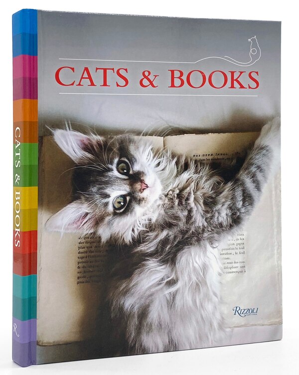 Cats & Books by Universe, Hardcover | Indigo Chapters