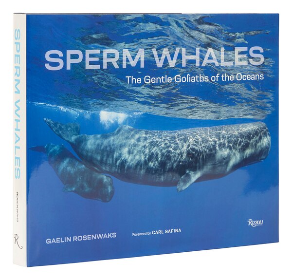 Sperm Whales by Gaelin Rosenwaks, Hardcover | Indigo Chapters