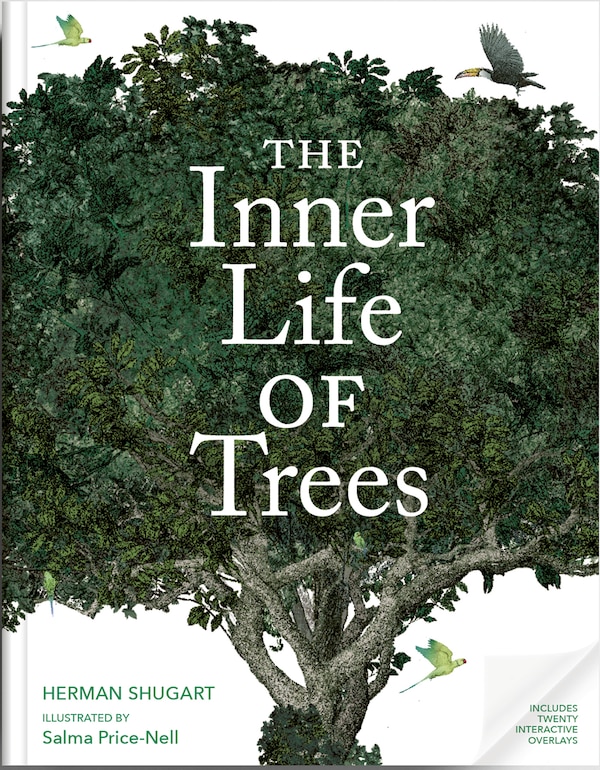 The Inner Life of Trees by Professor Hank Shugart, Hardcover | Indigo Chapters
