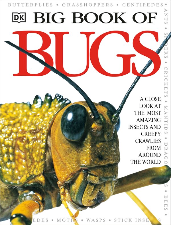 Big Book Of Bugs by Dk, Hardcover | Indigo Chapters