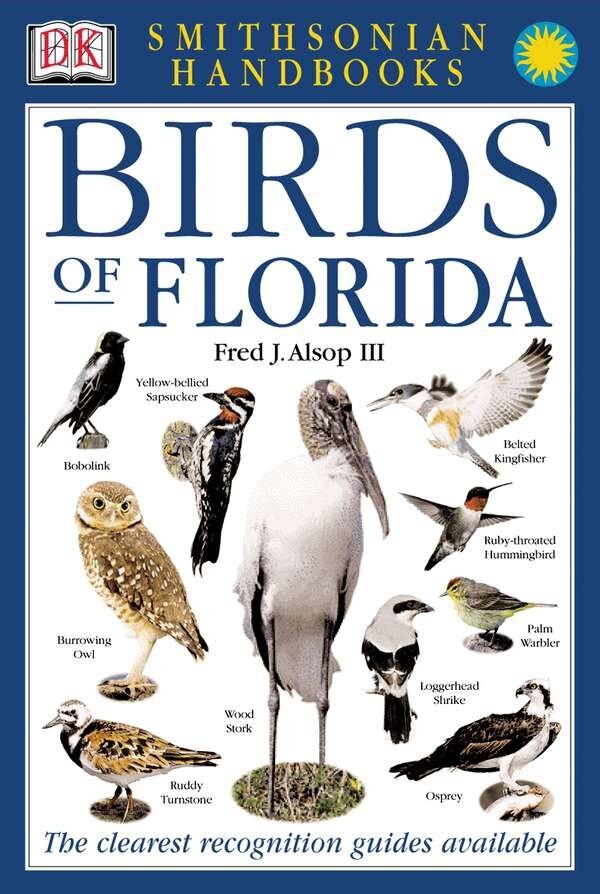 Birds of Florida by Dk, Paperback | Indigo Chapters