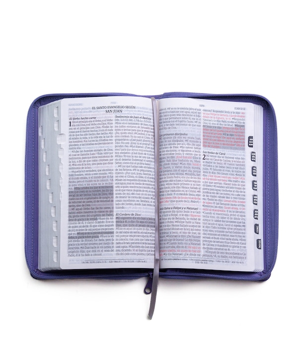 Santa Biblia de Promesas Reina Valera 1960 / Tamaño Manual / Letra Grande / Piel Especial Con Índice Y Cierre / Lavanda // Spanish
