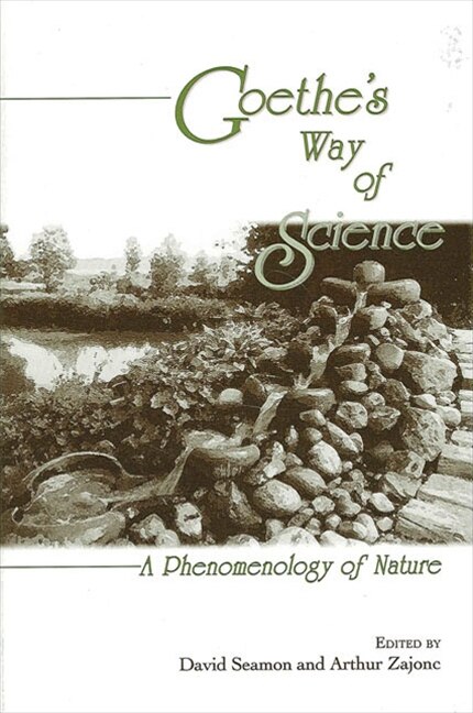 Goethe's Way of Science by David Seamon, Paperback | Indigo Chapters