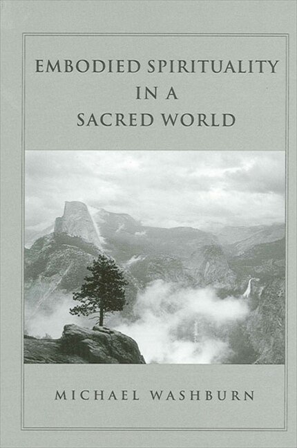 Embodied Spirituality in a Sacred World by Michael Washburn, Paperback | Indigo Chapters