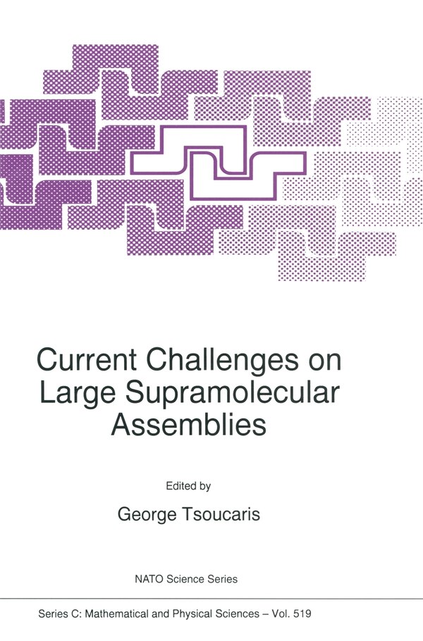 Current Challenges on Large Supramolecular Assemblies by Georges Tsoucaris, Hardcover | Indigo Chapters