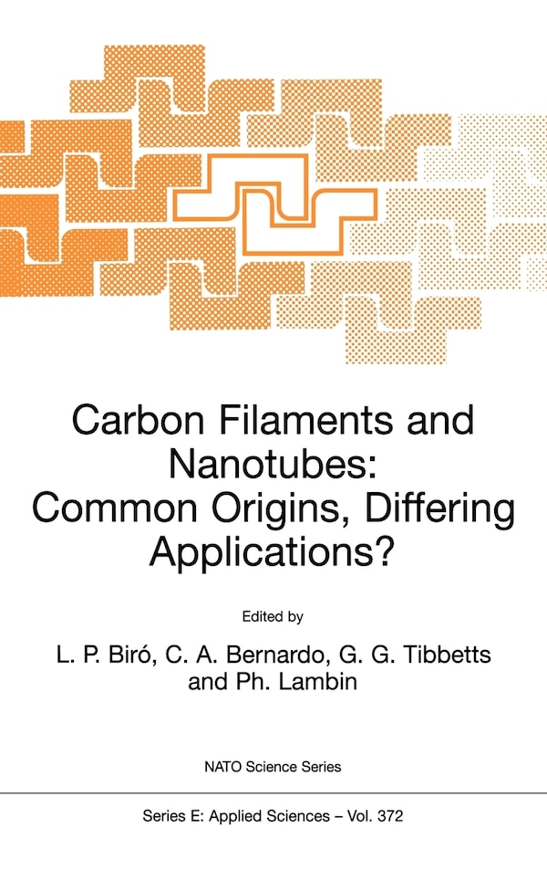 Carbon Filaments and Nanotubes: Common Origins Differing Applications? by L P Biró, Hardcover | Indigo Chapters