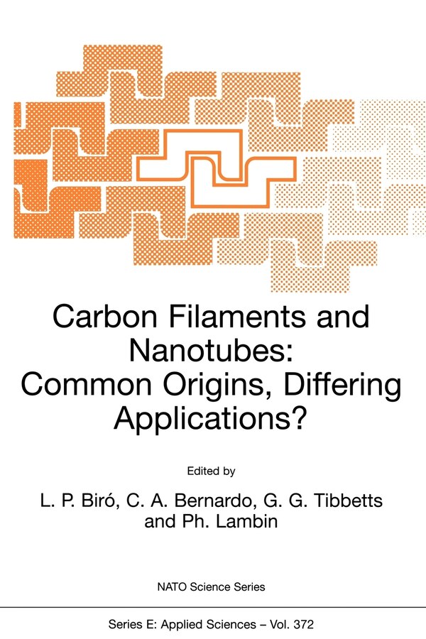 Carbon Filaments and Nanotubes: Common Origins Differing Applications? by L P Biró, Paperback | Indigo Chapters