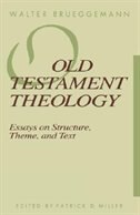 Old Testament Theology by Walter Brueggemann, Paperback | Indigo Chapters