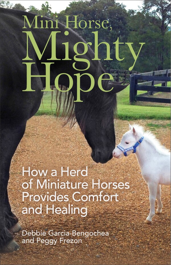Mini Horse Mighty Hope by Debbie Garcia-bengochea, Paperback | Indigo Chapters