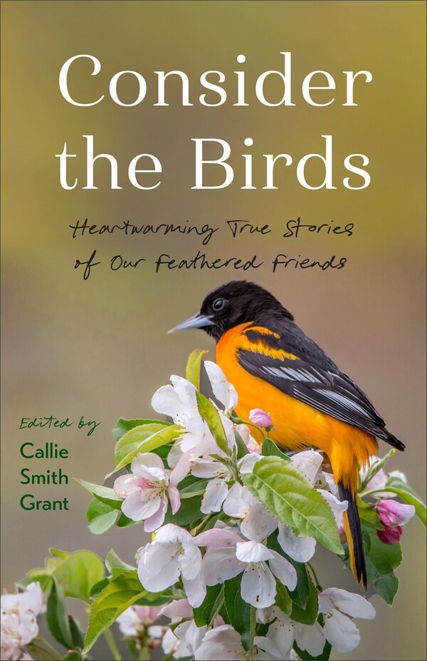Consider the Birds by Callie Grant, Paperback | Indigo Chapters