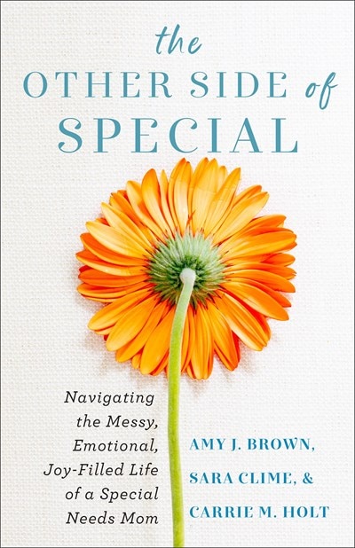 The Other Side of Special by Amy Brown, Paperback | Indigo Chapters