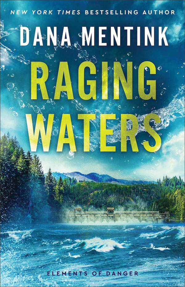 Raging Waters by Dana Mentink, Paperback | Indigo Chapters