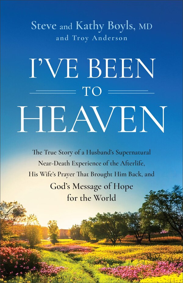 I've Been to Heaven by Steve Boyls, Paperback | Indigo Chapters