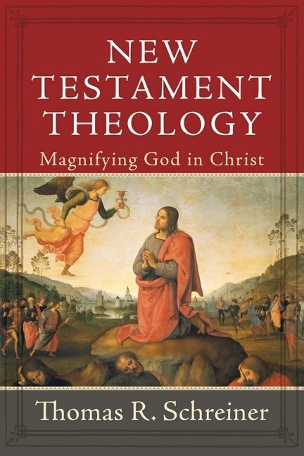 New Testament Theology by Thomas Schreiner, Paper over Board | Indigo Chapters