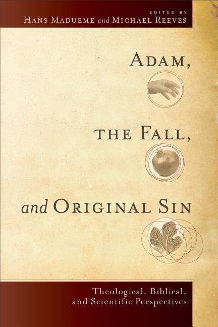Adam the Fall and Original Sin by Hans Madueme, Paperback | Indigo Chapters
