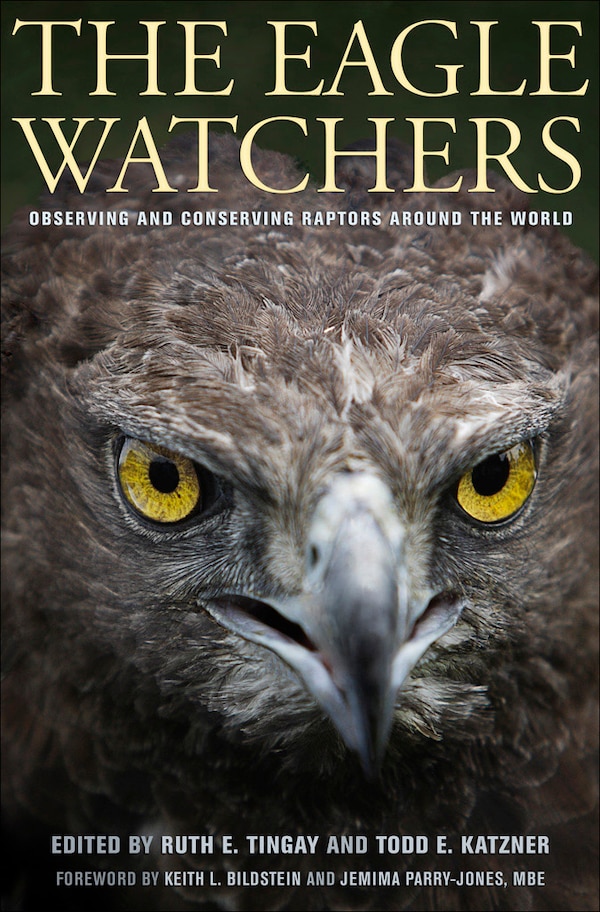 The Eagle Watchers by Ruth Tingay, Paper over Board | Indigo Chapters