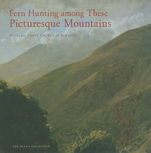 Fern Hunting among These Picturesque Mountains by Elizabeth Mankin Kornhauser, Paper over Board | Indigo Chapters