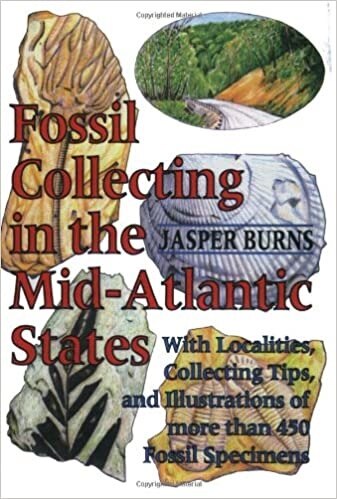 Fossil Collecting in the Mid-Atlantic States by Jasper Burns, Paperback | Indigo Chapters