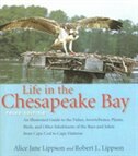 Life in the Chesapeake Bay by Alice Jane Lippson, Paperback | Indigo Chapters