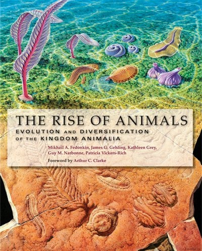 The Rise of Animals by Mikhail A. Fedonkin, Hardcover | Indigo Chapters