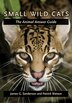 Small Wild Cats by James G. Sanderson, Paperback | Indigo Chapters