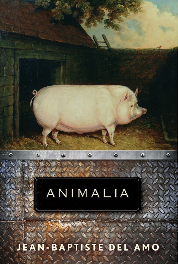 Animalia by JEAN-BAPTISTE DEL AMO, Paperback | Indigo Chapters