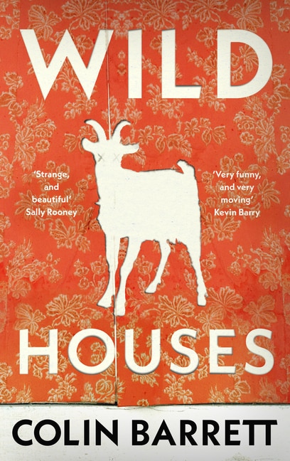 Wild Houses by Colin Barrett, Hardcover | Indigo Chapters