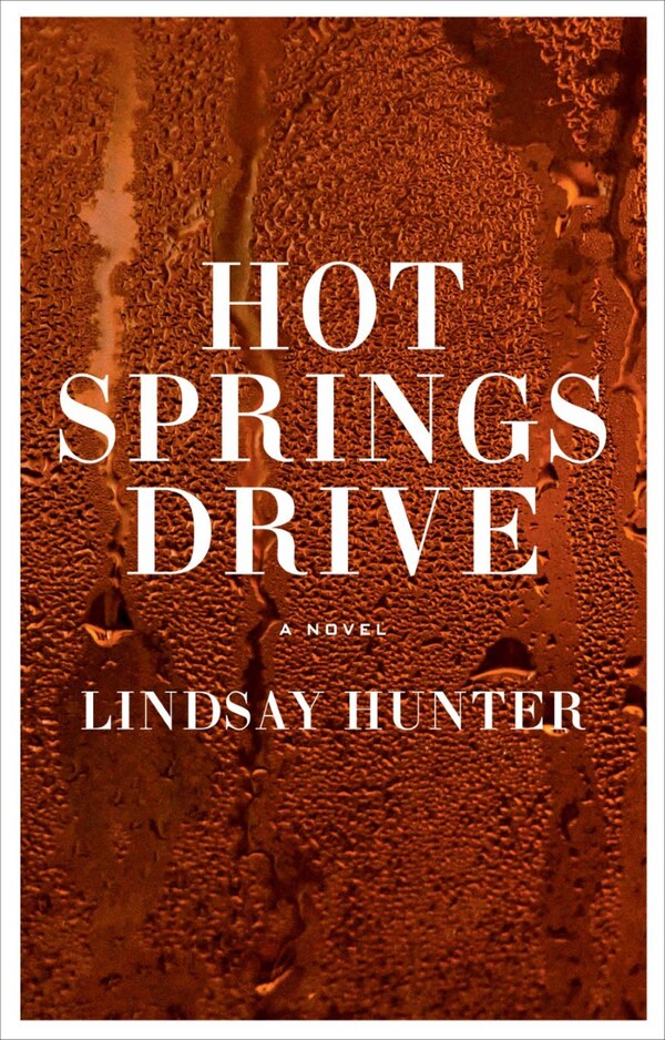 Hot Springs Drive by Lindsay Hunter, Hardcover | Indigo Chapters