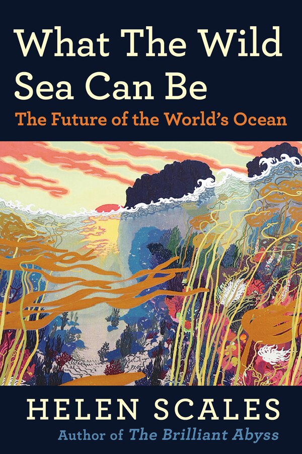 What the Wild Sea Can Be by Helen Scales, Paperback | Indigo Chapters