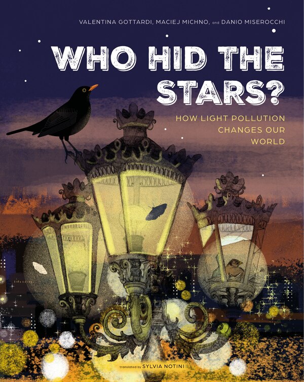 Who Hid the Stars? by Danio Miserocchi, Picture Books | Indigo Chapters
