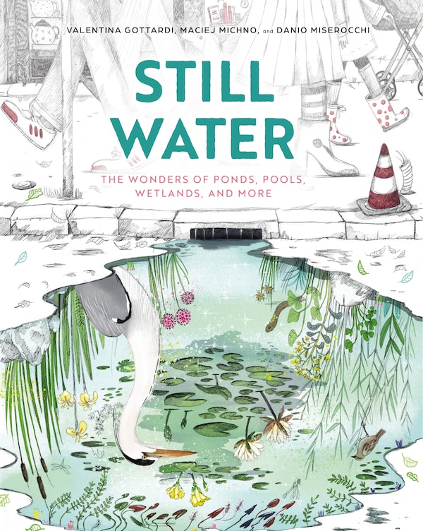 Still Water by Maciej Michno, Picture Books | Indigo Chapters