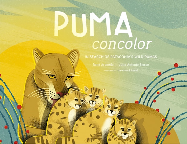 Puma Concolor by René Araneda, Picture Books | Indigo Chapters
