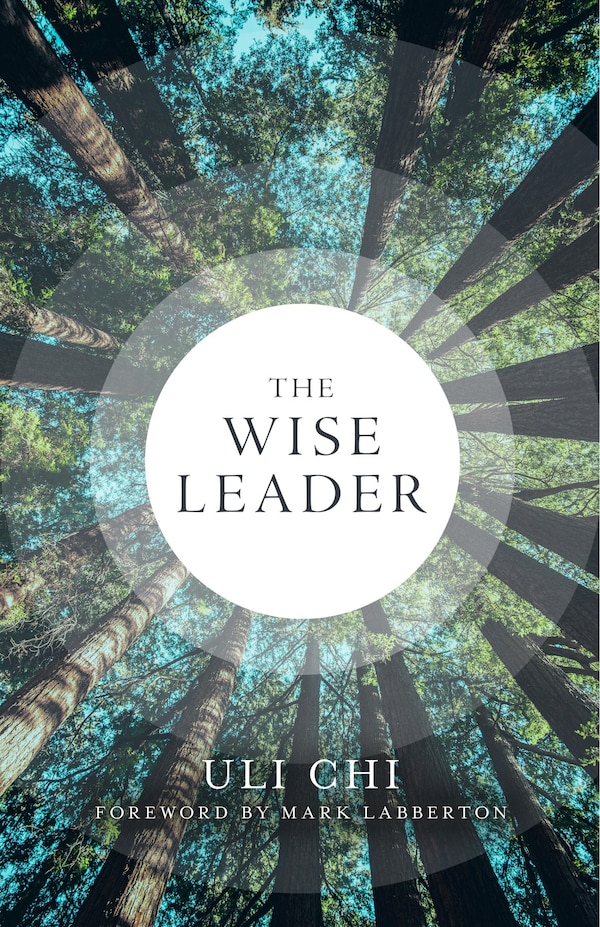 The Wise Leader by Uli Chi, Paperback | Indigo Chapters