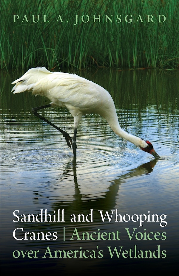 Sandhill and Whooping Cranes by Paul A. Johnsgard, Paperback | Indigo Chapters