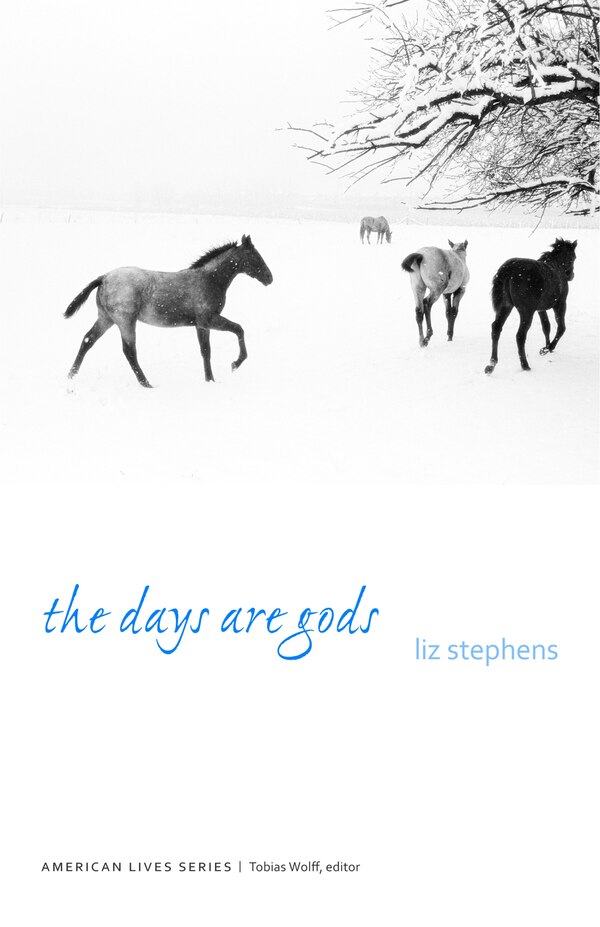 The Days Are Gods by Liz Stephens, Paperback | Indigo Chapters