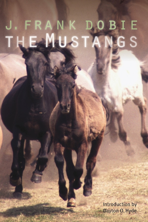 The Mustangs by J. Frank Dobie, Paperback | Indigo Chapters