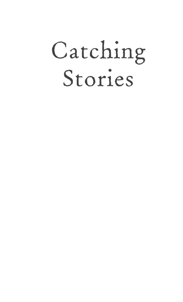 Catching Stories by Donna M. DeBlasio, Hardcover | Indigo Chapters
