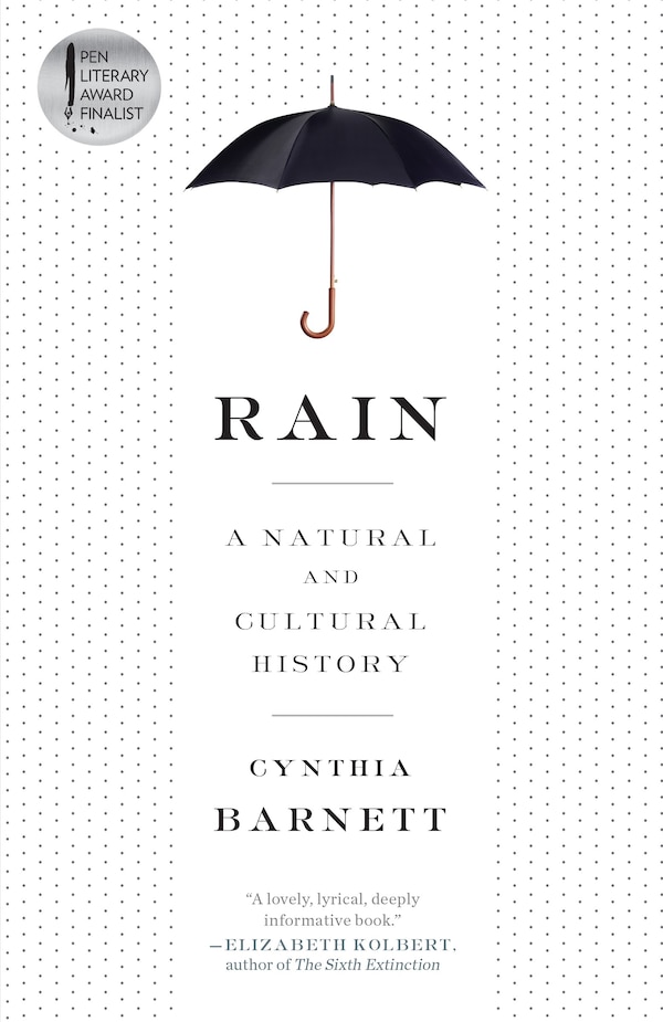 Rain by Cynthia Barnett, Paperback | Indigo Chapters