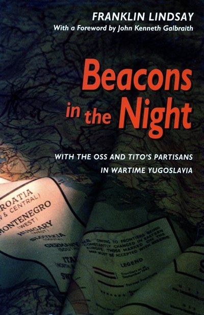 Beacons in the Night by Franklin Lindsay, Paperback | Indigo Chapters
