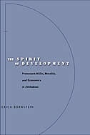 The Spirit of Development by Erica Bornstein, Paperback | Indigo Chapters