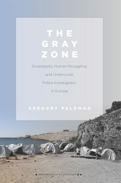 The Gray Zone by Gregory Feldman, Hardcover | Indigo Chapters