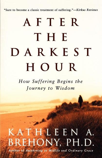 After the Darkest Hour by Kathleen A. A Brehony, Paperback | Indigo Chapters