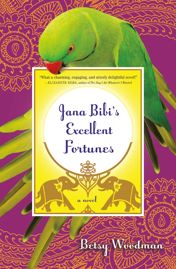 Jana Bibi's Excellent Fortunes by Betsy Woodman, Paperback | Indigo Chapters