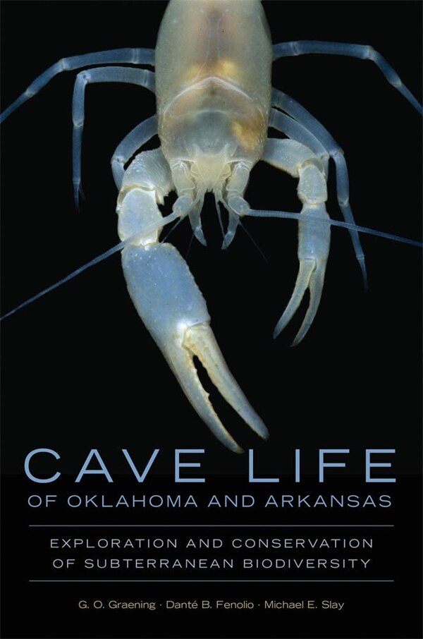 Cave Life Of Oklahoma And Arkansas by G.o. Graening, Paperback | Indigo Chapters