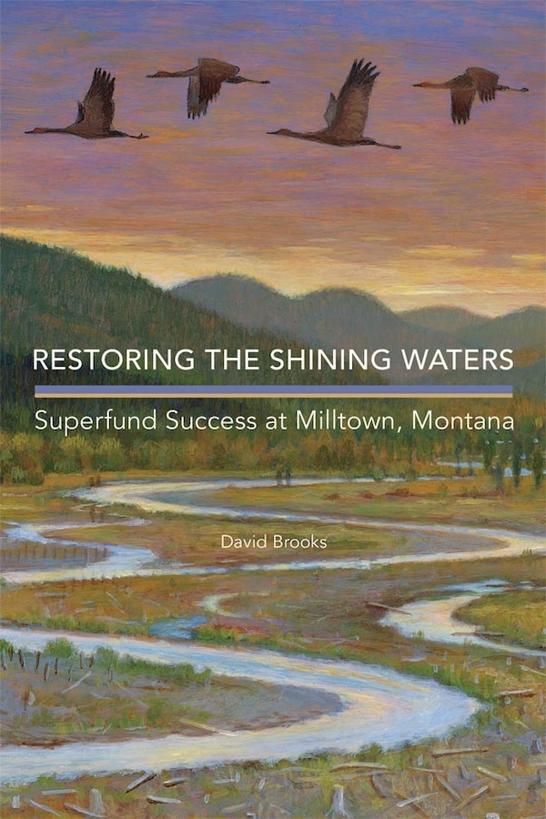 Restoring The Shining Waters by David Brooks, Hardcover | Indigo Chapters